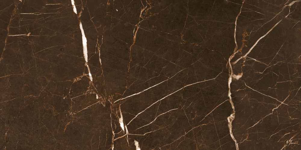 Glazed Porcelain Tiles Marble Look Pietra Bronze
