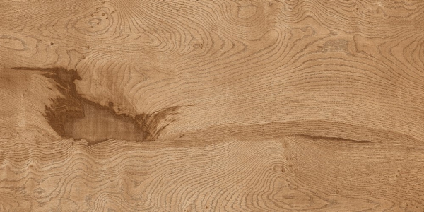 Glazed Porcelain Tiles Wood Look Harmony Wood